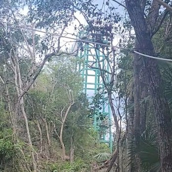 Maya Adrenaline - Zip Line tower for 2 of 4 Zip Lines - Snorkeling Near Me