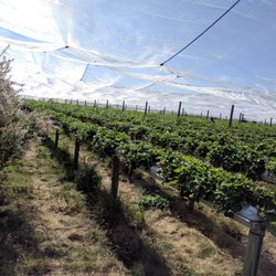 Les Fermes de Gally