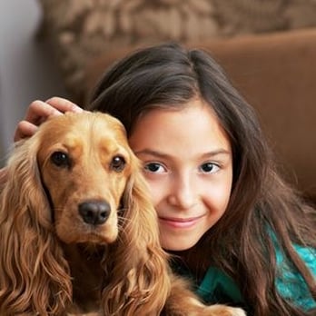 The Carpet & Air Duct Man - Carpet Cleaning Near Me - Pasadena, Maryland The Carpet & Air Duct Man - Carpet Cleaning Near Me - Pasadena, Maryland