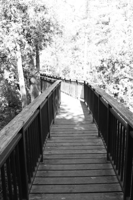 Rockwood Conservation Area by null