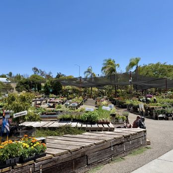 Walter Andersen Nursery - Nurseries & Gardening Near Me - Poway, California Walter Andersen Nursery - Nurseries & Gardening Near Me - Poway, California