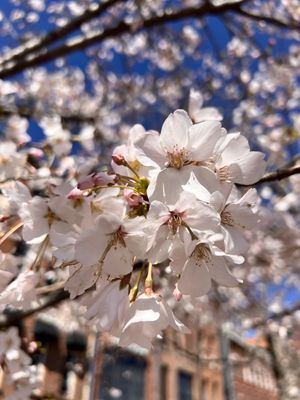 Riverfront Park by null