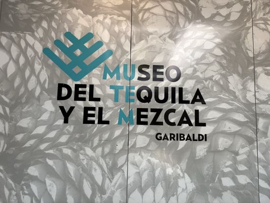 Museum of Tequila and Mezcal by null
