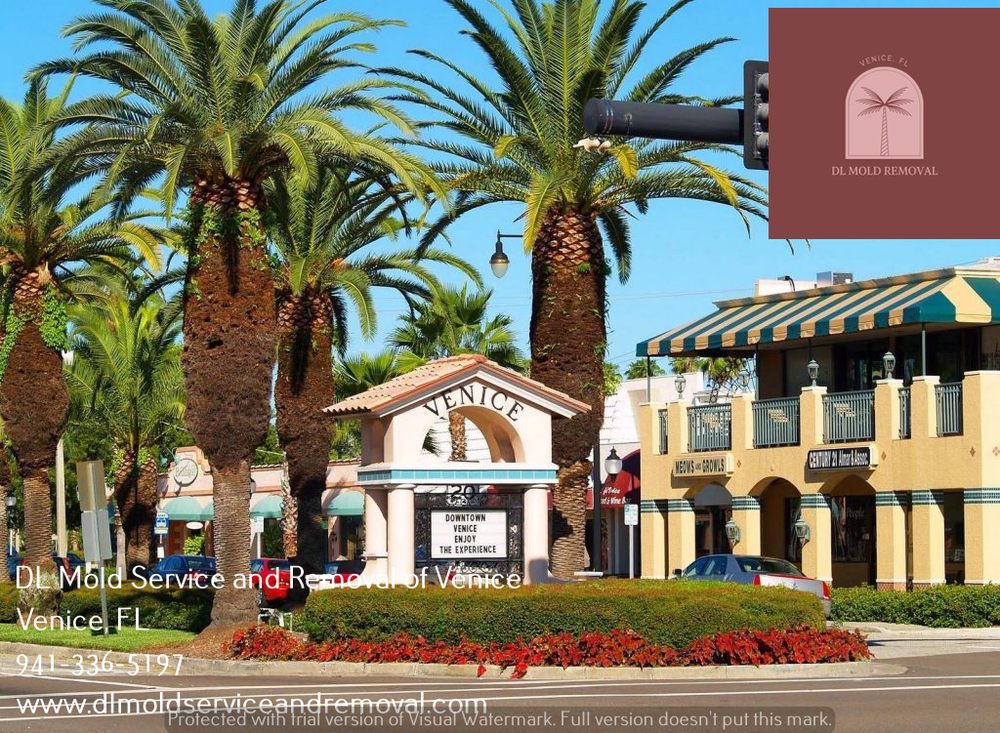 DL Mold Removal - mold inspector in Venice, FL