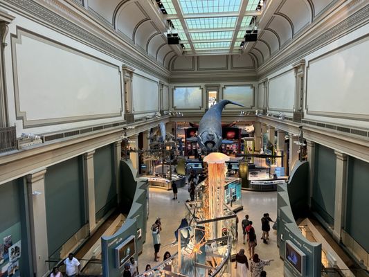 Smithsonian National Museum of Natural History by null Smithsonian National Museum of Natural History by null