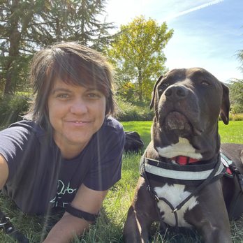 Translating Dog - Pet Training Near Me Translating Dog - Pet Training Near Me