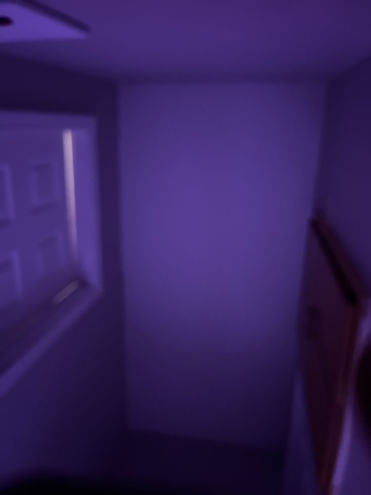 Budget Inn