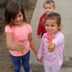 Seeds Family Child Care