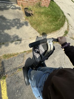 Segway the Fox Tours by null