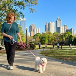 Laughing Pets Atlanta