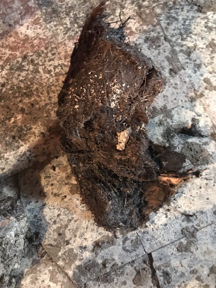 Slide of Silva Sewer Solutions