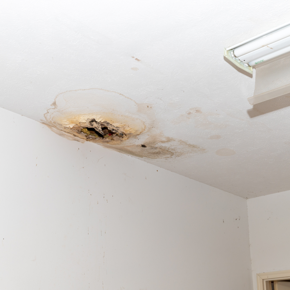 Slide of A+ Services