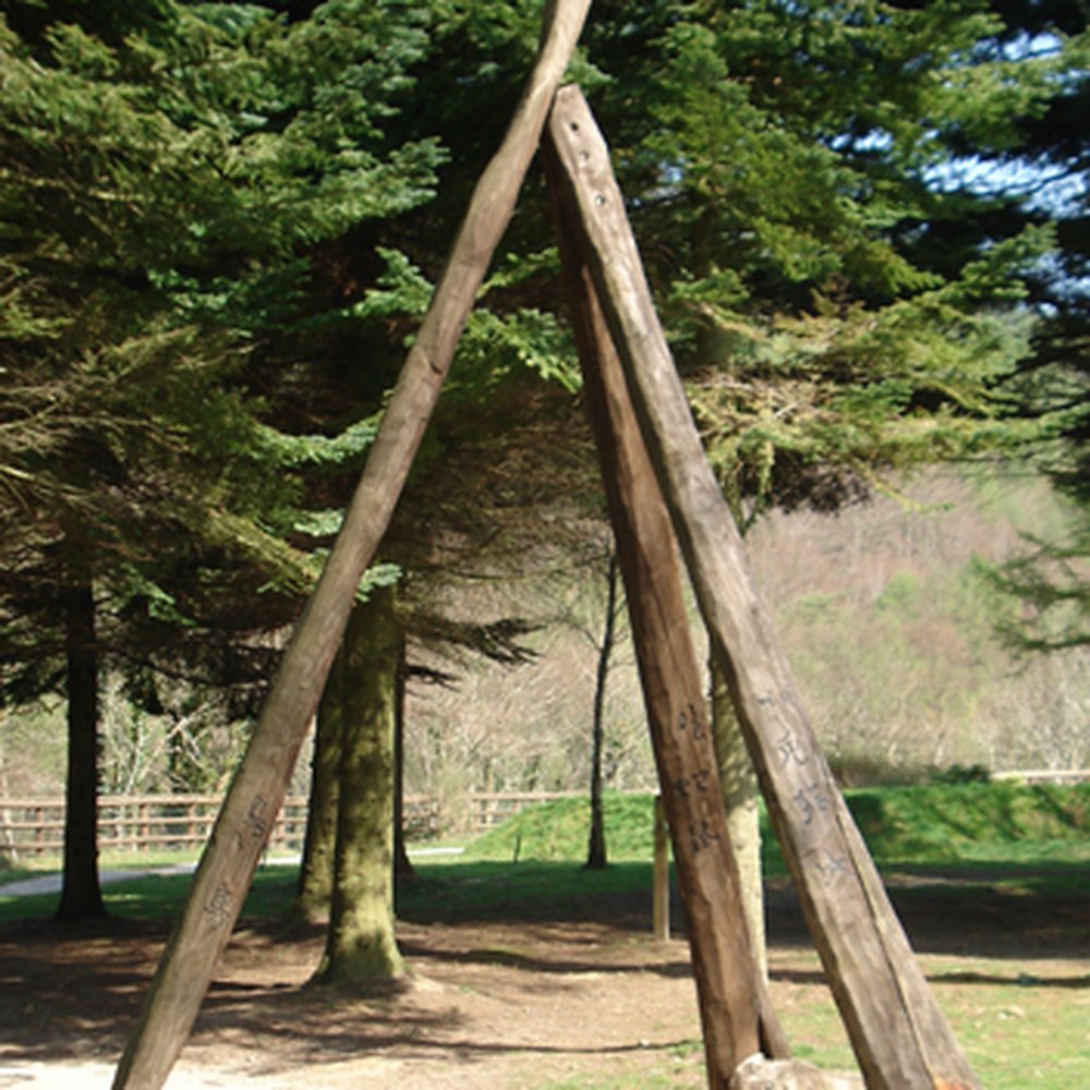 Kanji Wood - Kanji Wood, Afan Argoed Forest Park, near Neath - Active Life Near Me