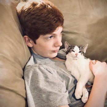 rossmoyne animal clinic