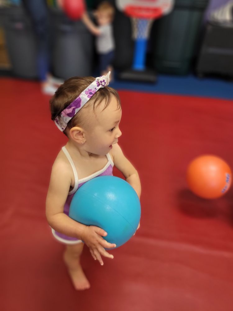 The Little Gym of Roxbury Logo