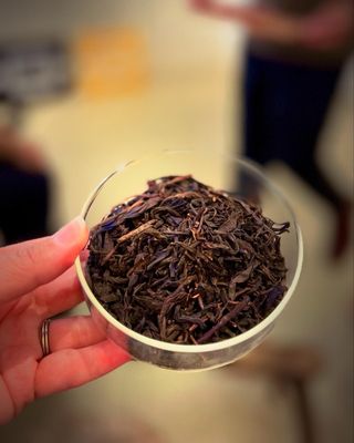 torotea by null