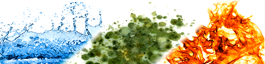 Excelsior Restoration Services - veterans service organization in Ballston Spa, NY