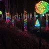 Lucy Depp Park Light Show gift card