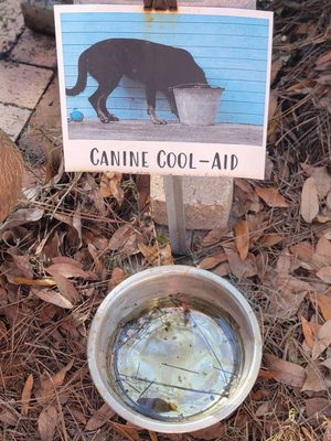 Tallahassee Nurseries by null