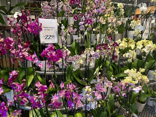 Whole Foods Market by null