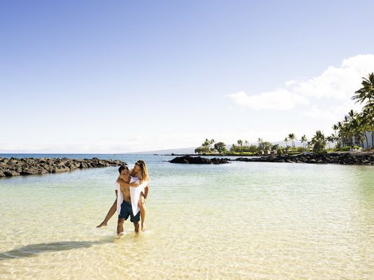 Fairmont Orchid - Hawaii by null