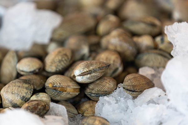 Pike Place Fish Market by null