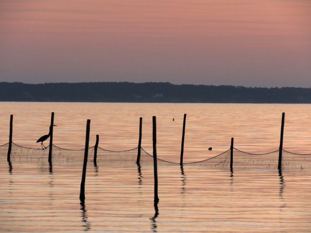 Windmill Point beach