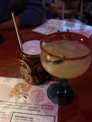 Gato Exotico by null