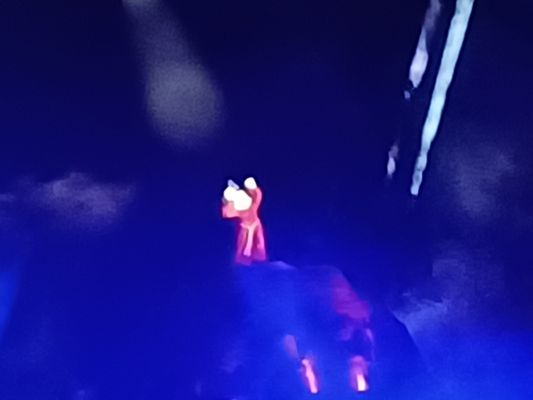 Fantasmic! by null