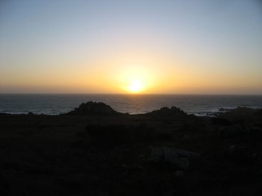 Salt Point State Park by null