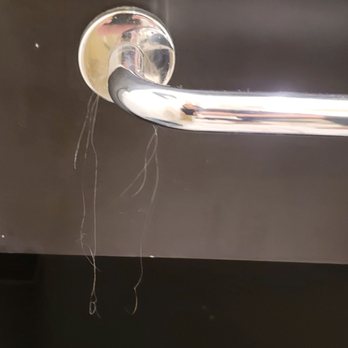 The Hotel Zamora - Long blonde hairs we found in the bathroom right after entering our room (everything else looked super clean). - Hotels Near Me - St. Pete Beach, Florida