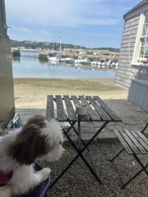 The Ice Cream Store by null