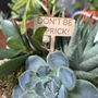 Photo of Classy Cactus Farm