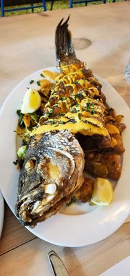 Spring Lake Seafood by null