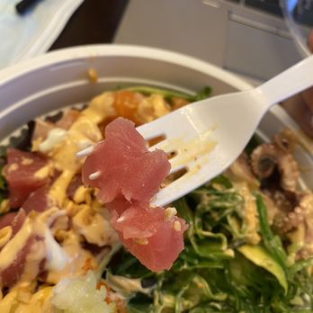 Xuan Asian - Fresh tuna! - Korean Near Me - Albuquerque, New Mexico