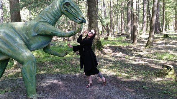 Dinosaur Gardens by null