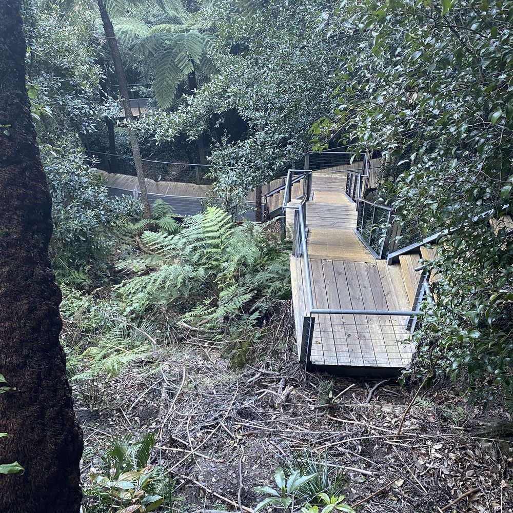 Blue Mountains National Park - Parks Near Me Blue Mountains National Park - Parks Near Me
