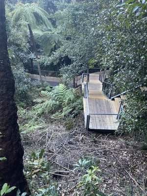 Blue Mountains National Park by null