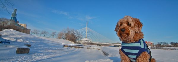 The Forks National Historic Site by null