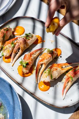 Crudo Ceviche & Oyster Bar by null