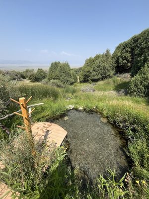 Orient Land Trust/Valley View Hot Springs by null