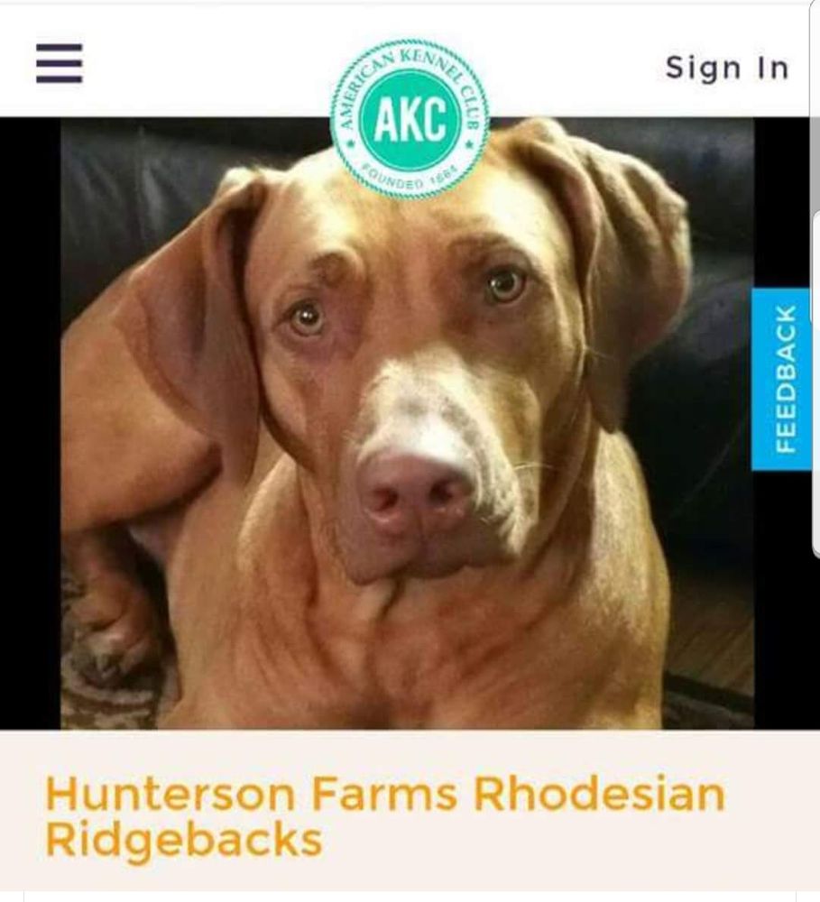 HUNTERSON FARMS 1555 County Rd, Angleton, Texas Pet Training