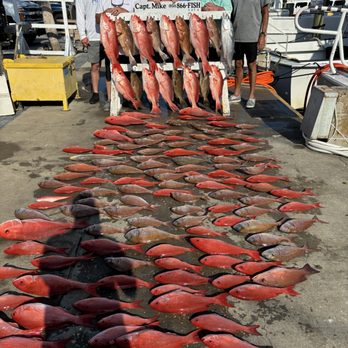 Captain Mike Charters - Dinner for days. - Fishing Near Me - Panama City, Florida