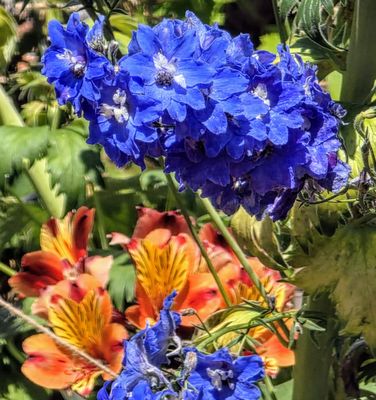 Highclere Castle by null