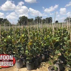 Moon Valley Nurseries