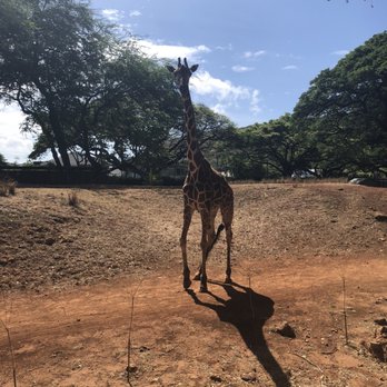 Honolulu Zoo - Zoos Near Me - Honolulu, Hawaii