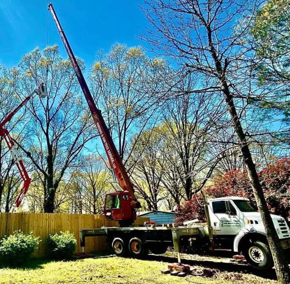 R&R Tree Service - tree service in Benton , AR