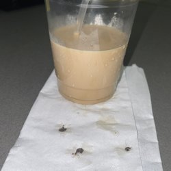 Paramour Coffee - Clumps of hair