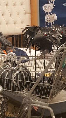 Fred Meyer by null