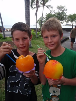 Scandinavian Shave Ice by null
